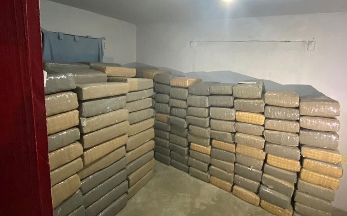 Ejército decomisa 1.5 toneladas de marihuana en Diaz Ordaz