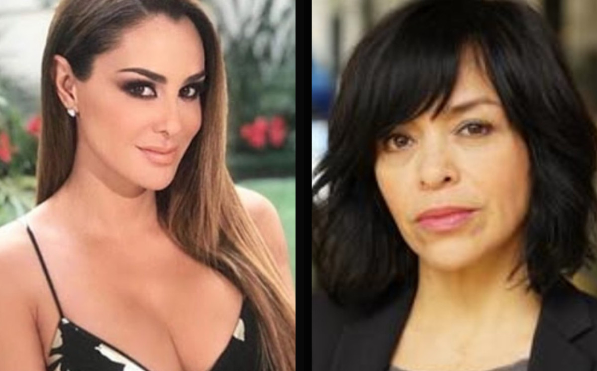 Ninel Conde procederá legalmente en contra de Anabel Hernández por supuesto vínculo con el narco. |Especial.