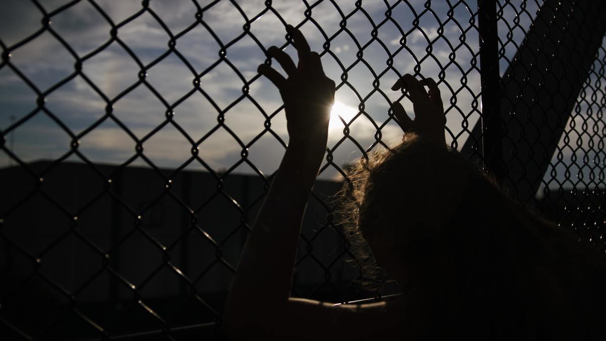 Piedra Ibarra detalló que de las víctimas identificadas, 2 mil 934 corresponden a mujeres, y 798 hombres. (Unsplash)