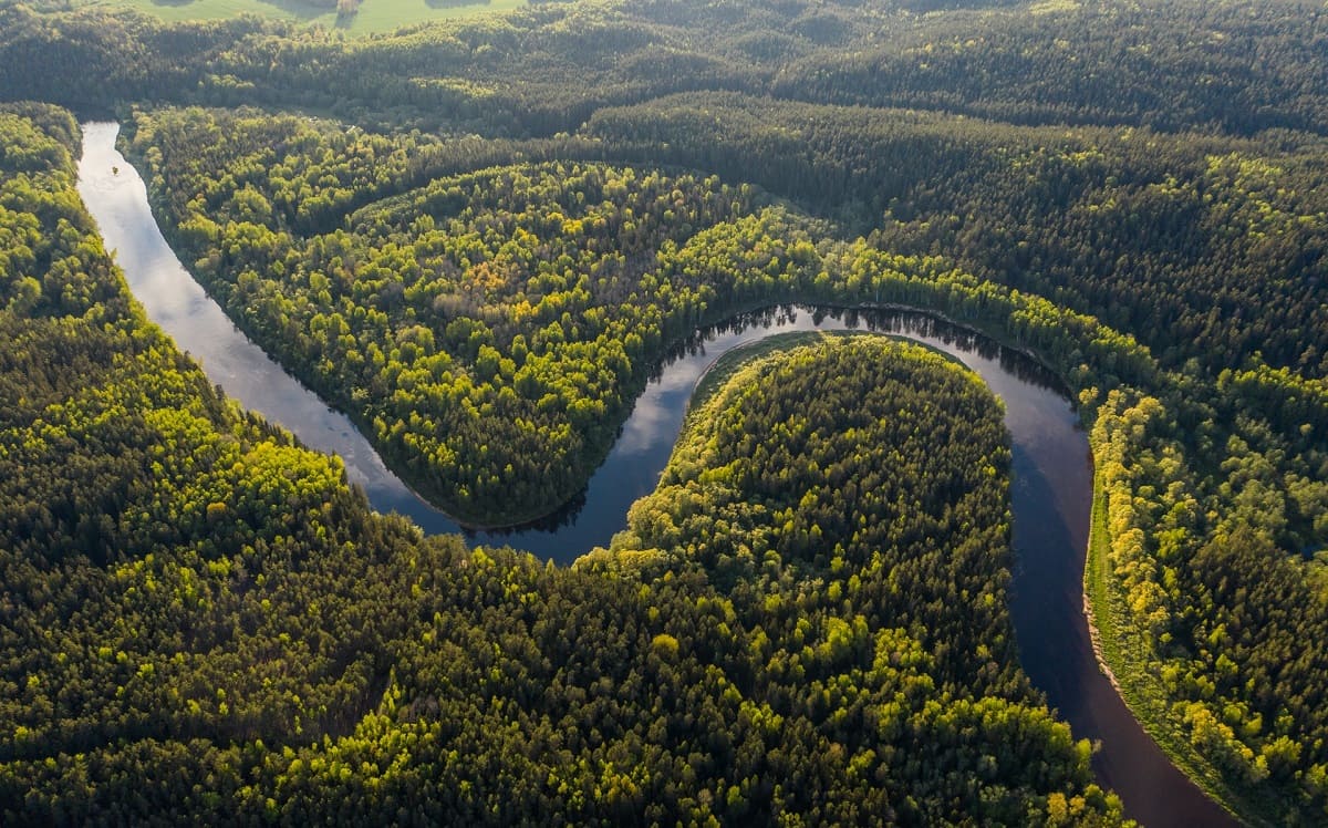 Parte de la selva amazónica se explota para exploraciones petroleras. | Unsplash.