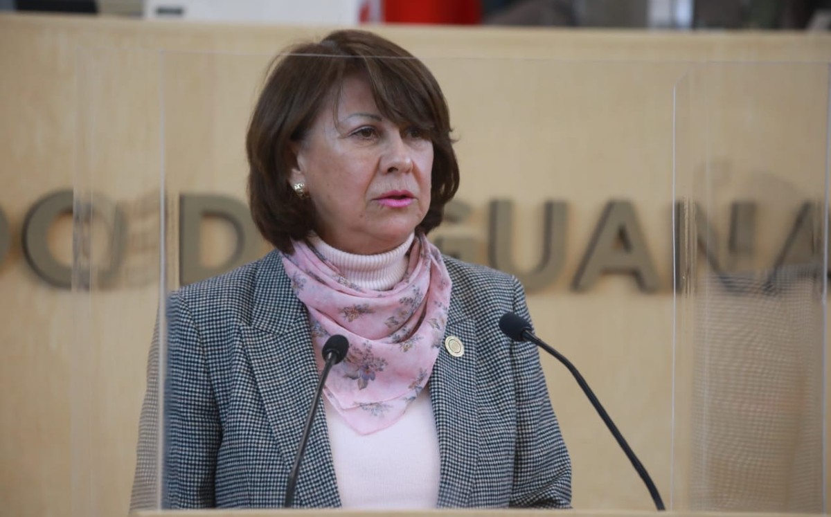 Angélica Casillas, diputada local por el PAN.