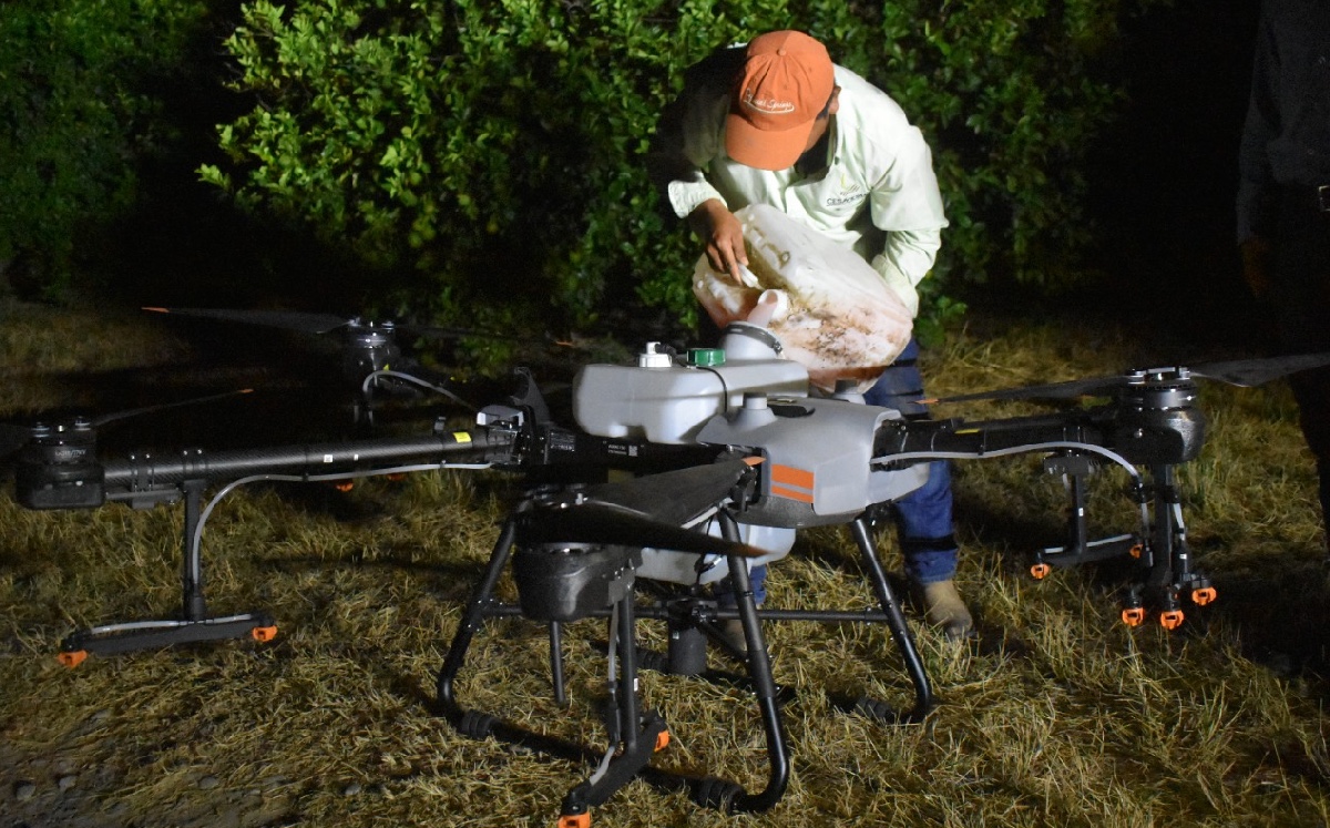 Combaten con drones la plaga de langosta en Tamaulipas. (Cortesía)