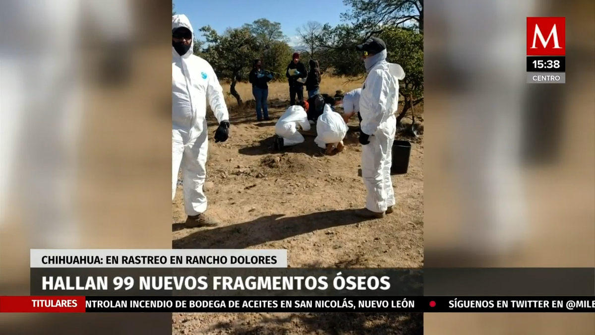 Chihuahua. Hallan 99 nuevos fragmentos óseos tras rastreo