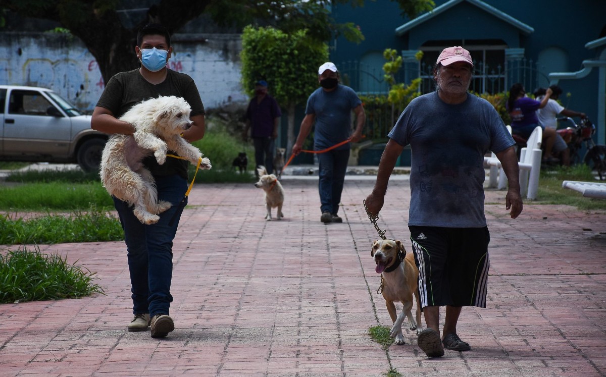 A escala nacional suman 25 millones de casas que cuentan con al menos una mascota. | Cuartoscuro