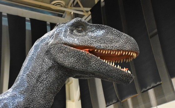 https://images.milenio.com/wdFmiL2sLlXUBv22qNzwwkvpYgA=/618x348/uploads/media/2021/12/14/museo-itinerante-dinosaurios-alista-expo-1_thumb_591_348.jpg