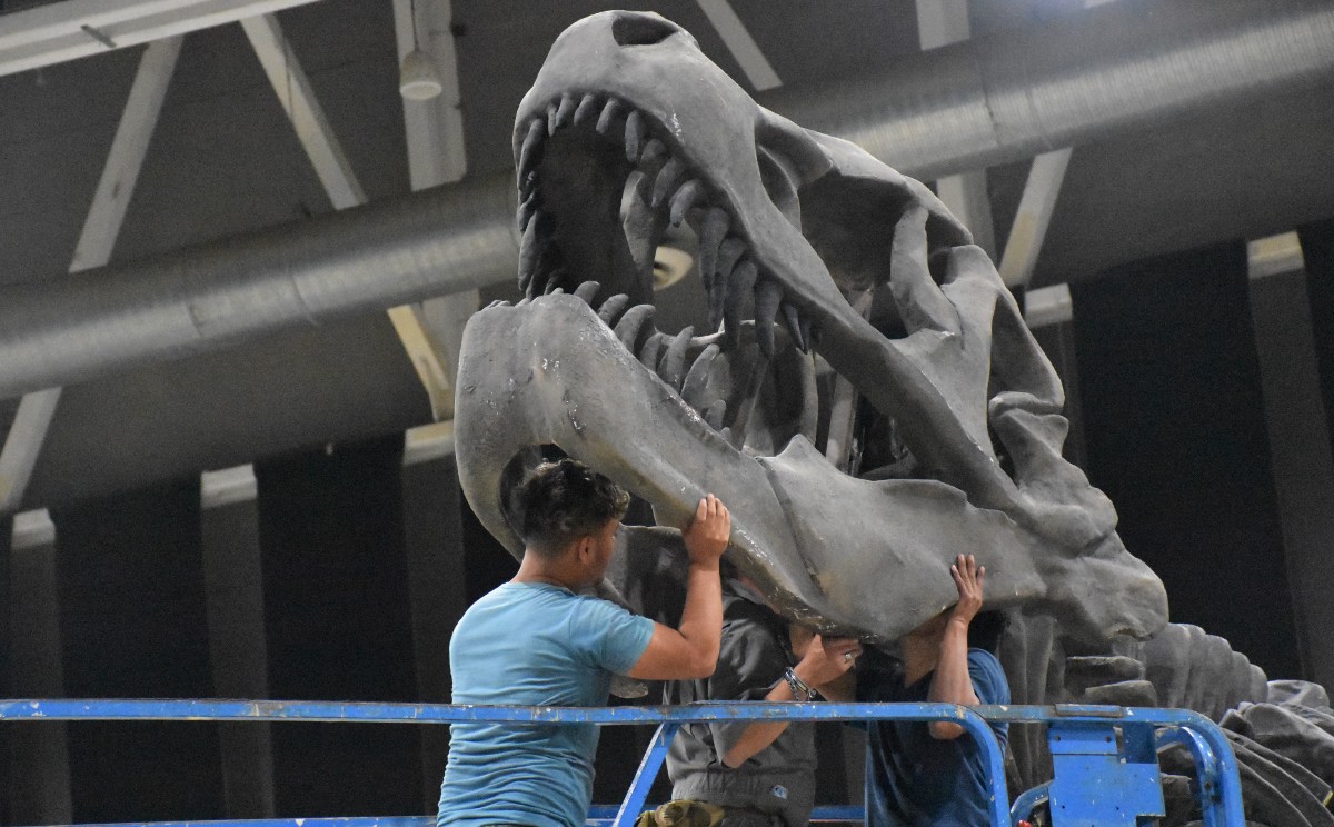 Museo itinerante de Dinosaurios se alista en la Expo Tampico.