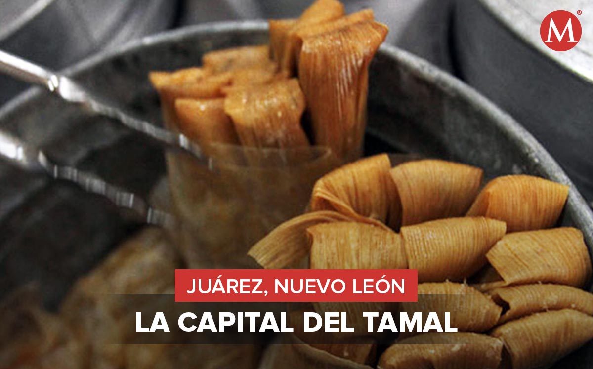 Desde los más tradicionales hasta gourmet y costeños.
