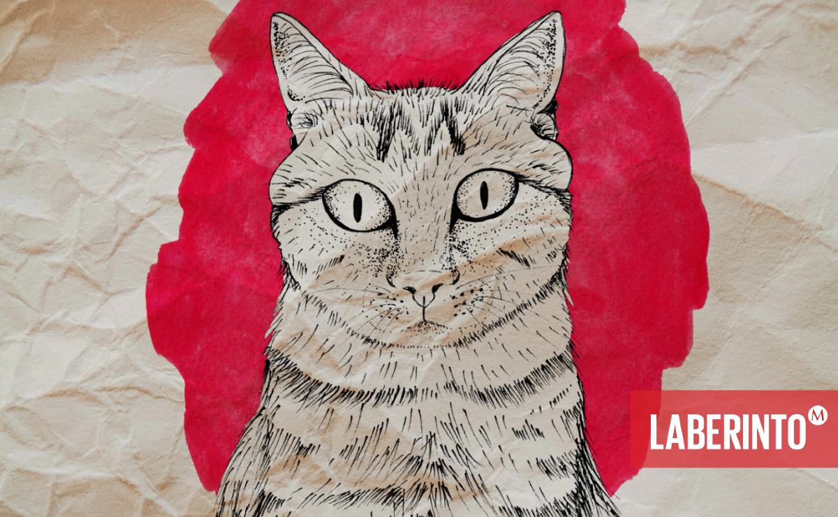 En 'Filosofía felina', John Gray hace una imaginativa interpretación de la “filosofía” de este felino y la contrapone a muchas actitudes humanas.