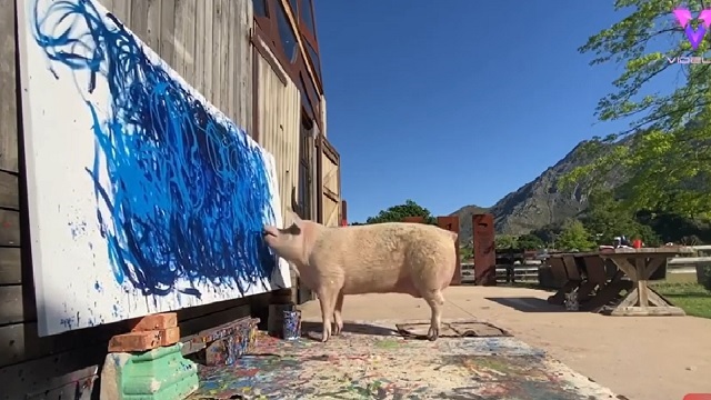 Venden obra de arte creada por cerdo (Captura)