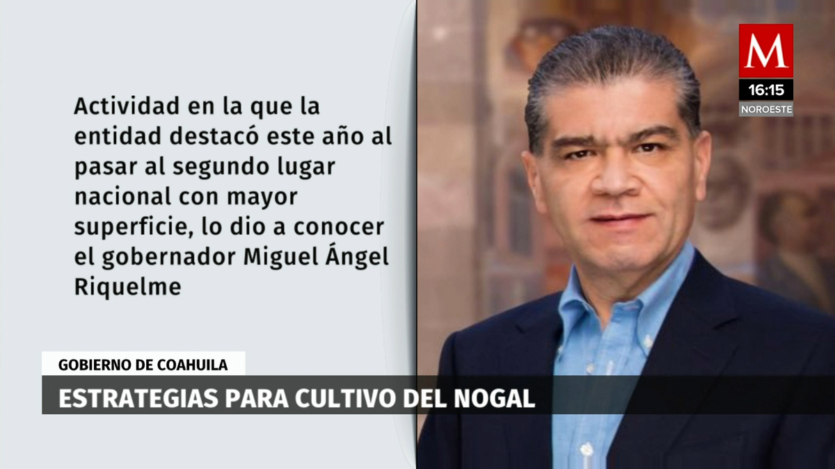 Estrategias para cultivo de nogal en Coahuila