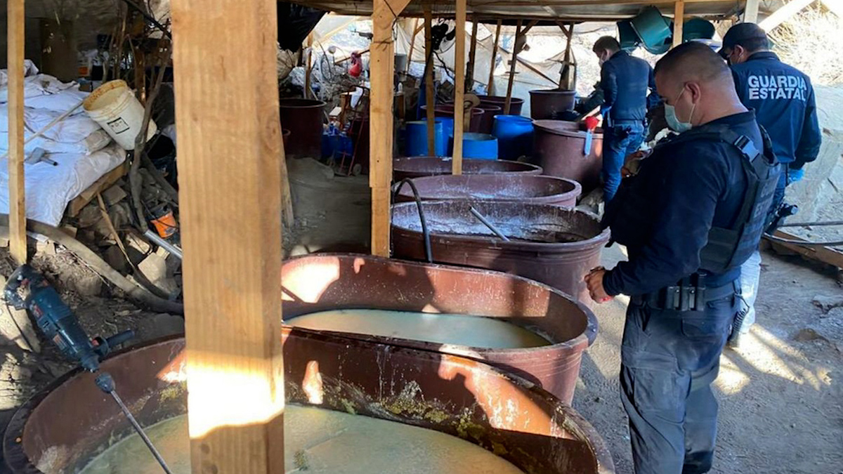 Sedena desmanteló 113 'narcolaboratorios' en tres años de AMLO