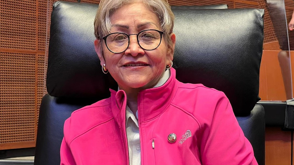 Senadores exigen dar con responsables de agresión contra Martha Guerrero