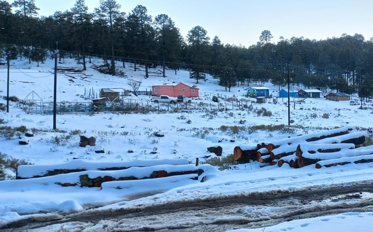 La temperatura más baja es en Navíos en el municipio de Durango con -10 grados.
