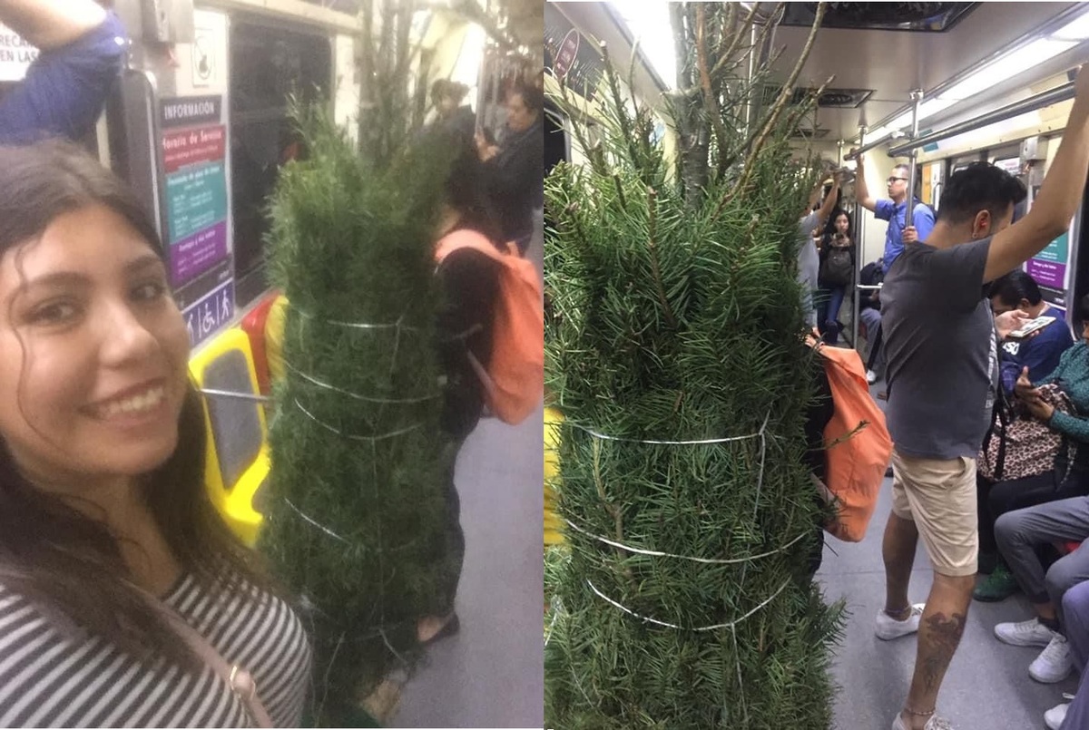 Giselle y su árbol no tuvieron ningún impedimento para subir al tren. (Cortesía)