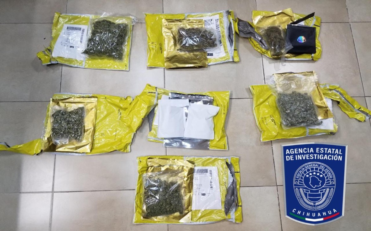 El total de mariguana estaba distribuido en paquetes
