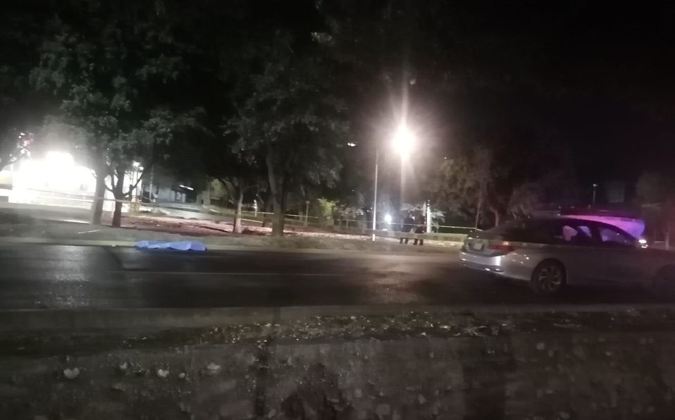 Fue embestido por un vehículo y tras el golpe, murió de manera instantánea. Foto: Miranda Arias