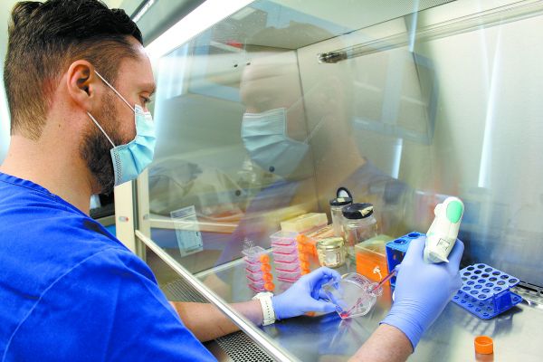 La investigación arrojará sus primeros avances hasta el próximo año. especial