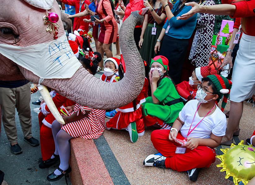 'El Palacio de Elefantes' de Ayutthaya ha celebrado el evento navideño en la escuela durante casi dos décadas. |Reuters