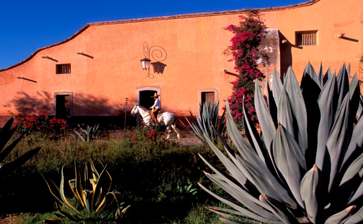 Lagos de Moreno, Jalisco (Cortesía)