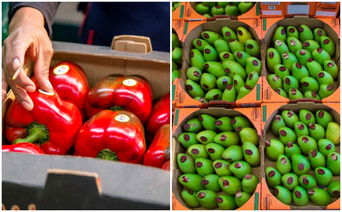 Productos agroalimentarios producidos en México, llegan a 192 países: SADER