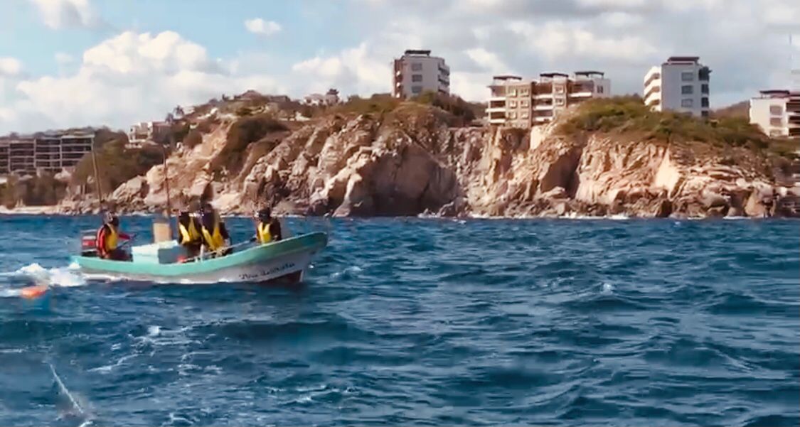 La ballena fue rescatada y pudo alejarse de la zona. (Óscar Rodríguez)