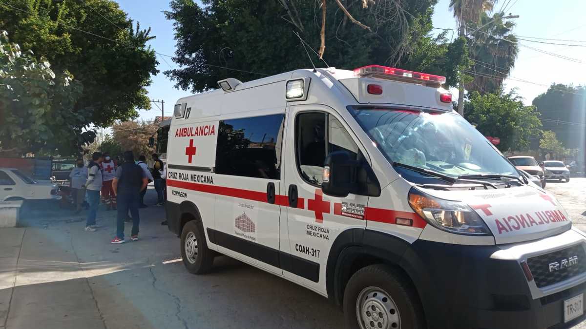 El chófer señaló ante los Peritos que no había visto al señor, por lo que lo golpeó con la parte frontal. | Especial