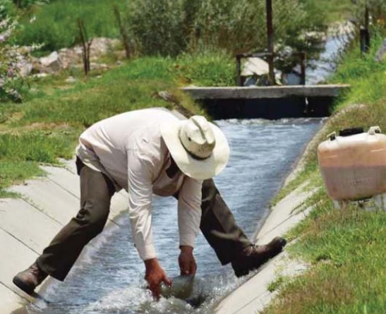 En un lapso de 3 o 4 horas remueve arriba de 90% en un volumen de agua de 100 mililitros. (ESPECIAL)