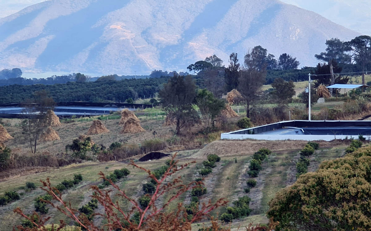 La idea es que se instalen parcelas según las necesidades locales, características del entorno y consideren medio ambiente (Cortesía).