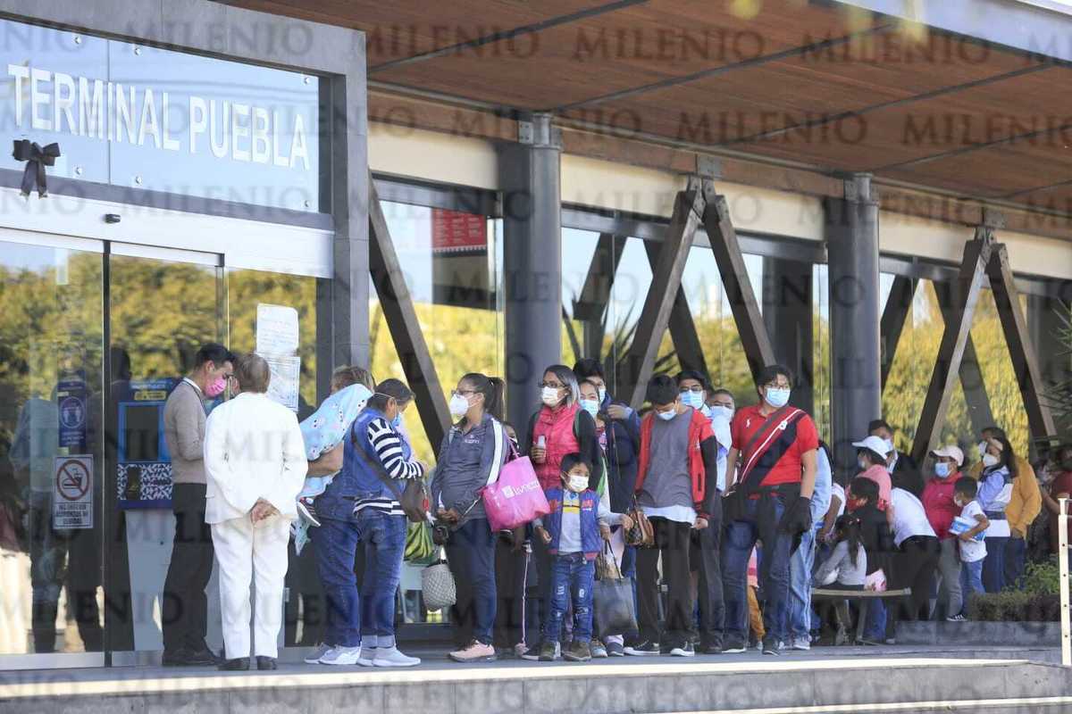 Tren turístico con gran afluencia en sus últimos viajes