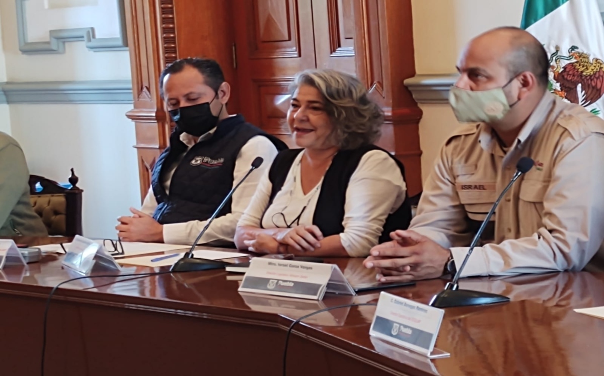Actuaremos para ordenar el cableado aéreo: Myriam Arabian | Angélica Tenahua