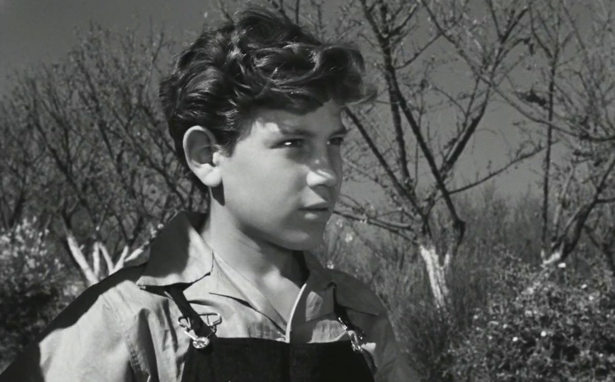 Alfonso Mejía como Pedro en Los olvidados (Especial).
