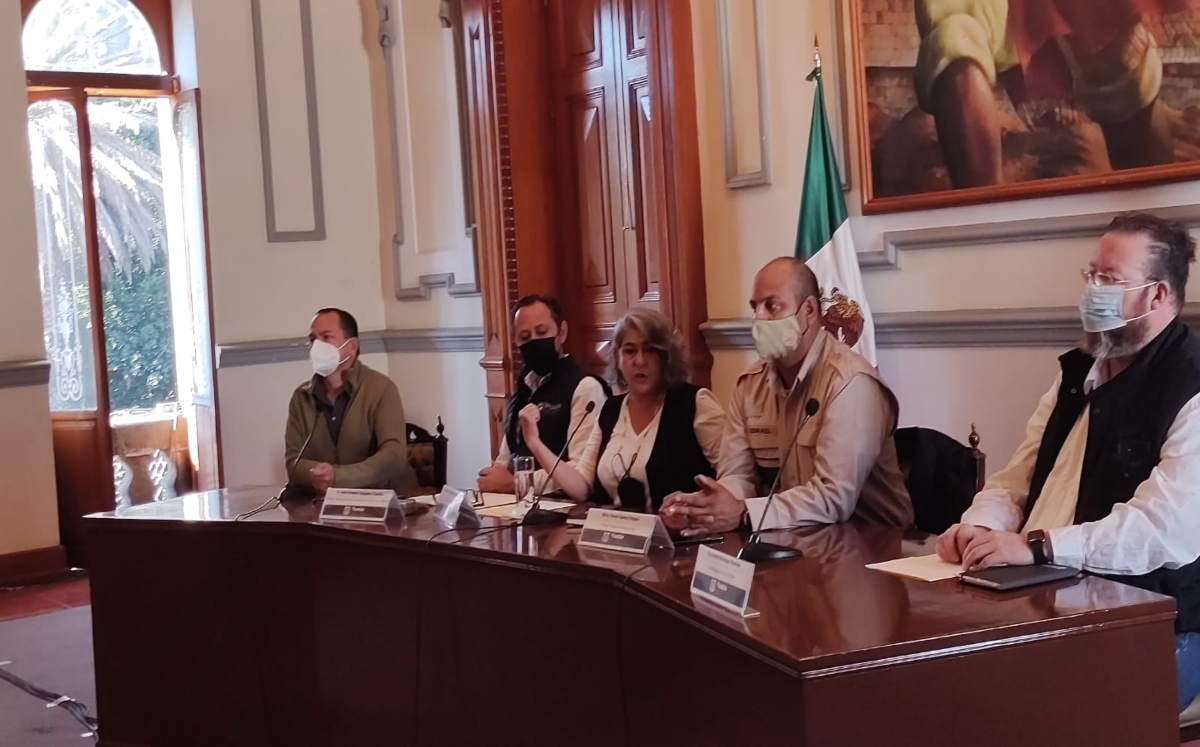 Del 6 de enero al 15 de febrero ayuntamiento  recibirá árboles de navidad naturales | Angélica Tenahua