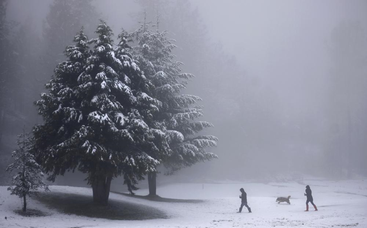 Fuertes tormentas golpean la costa oeste de California, aumentando los niveles de humedad. | AP