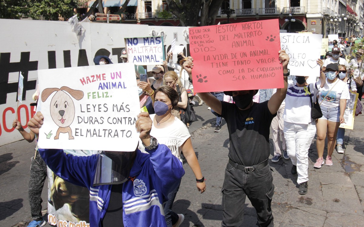 Protesta contra el maltrato animal en Puebla | Agencia Enfoque