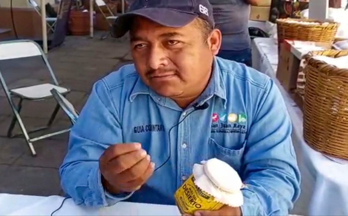 Producen miel en el semidesierto de San Juan Raya | Apolonia Amayo