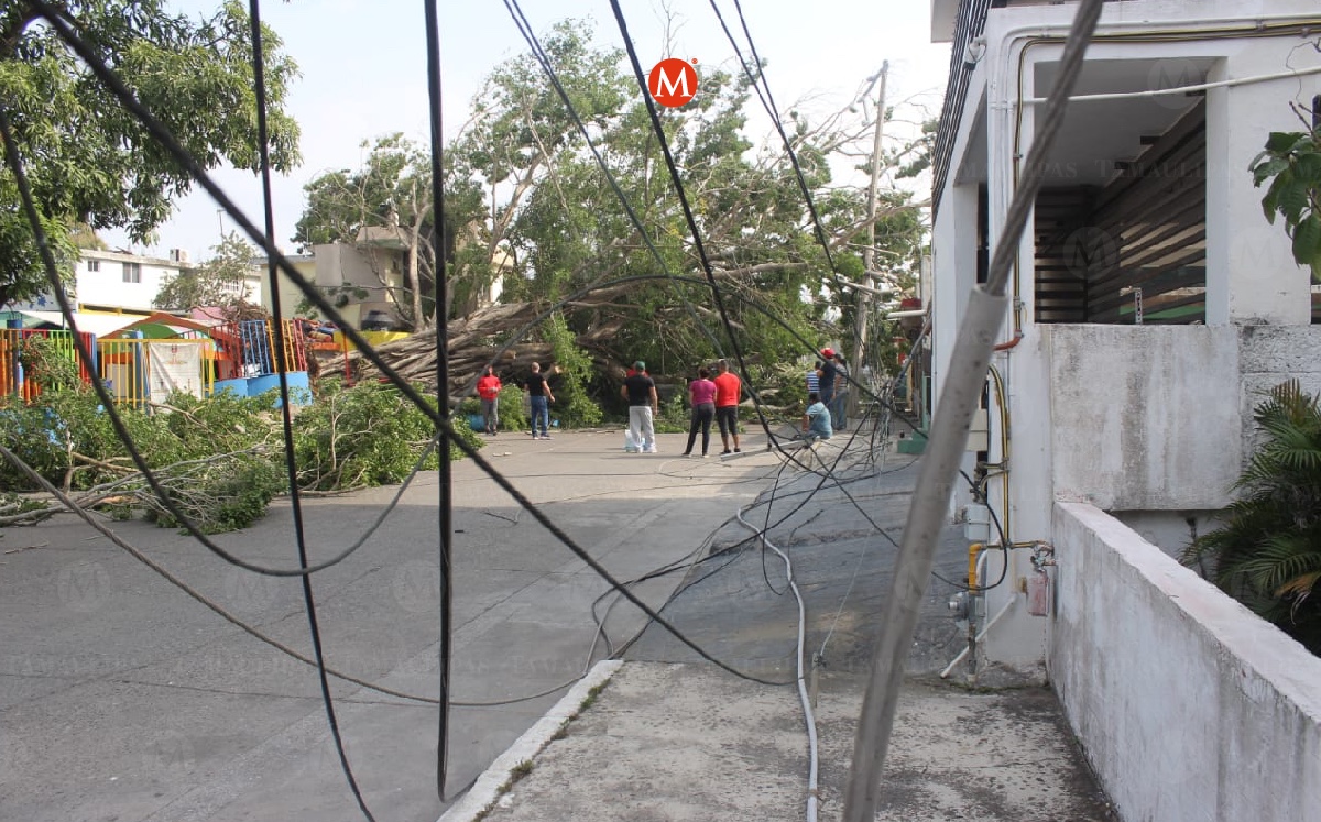 Cables tirados por fuertes vientos en Tampico. (Sergio Sánchez)