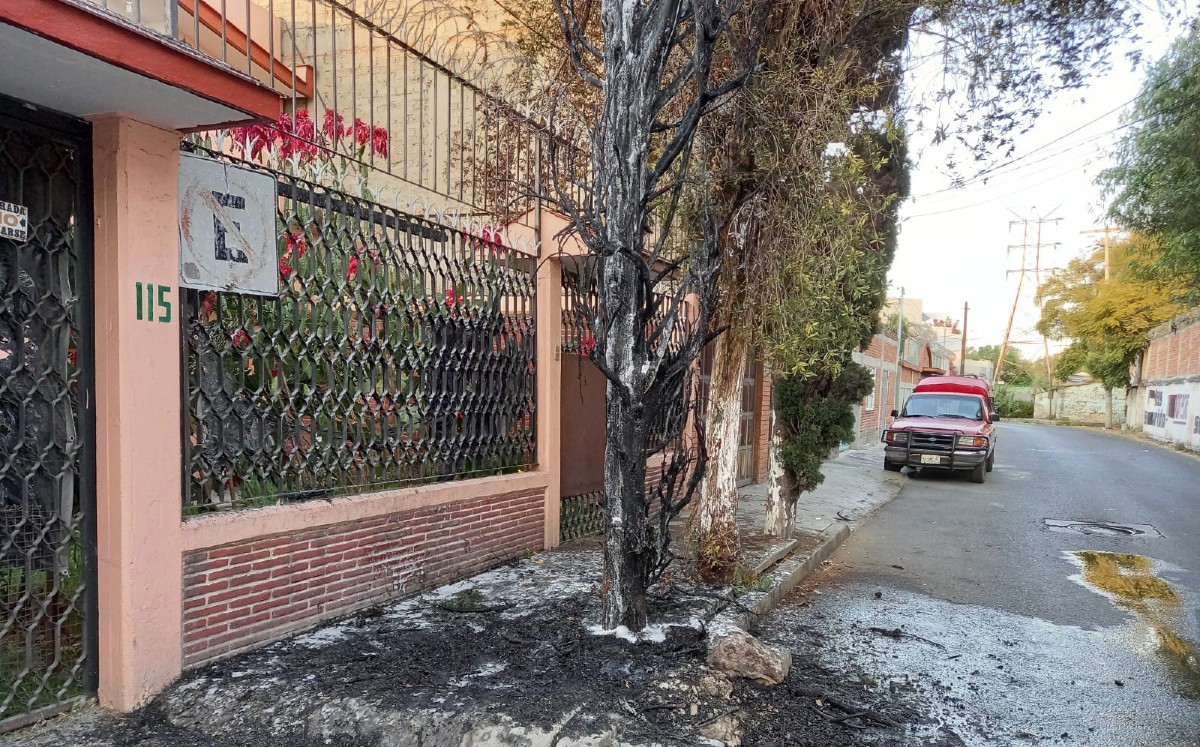 Los dueños de la casa frente al árbol afectado no se encontraban en su domicilio. | Fanny Miranda