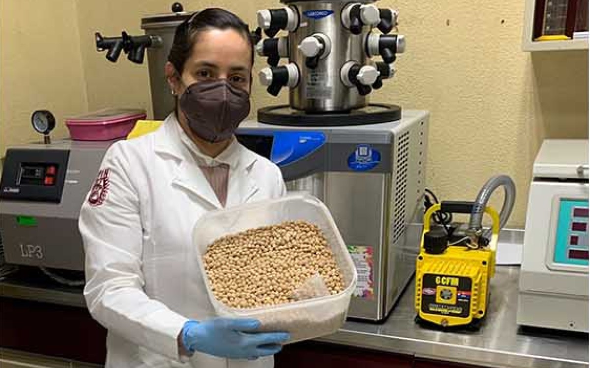 La investigadora estudió los efectos del garbanzo en ratas | IPN