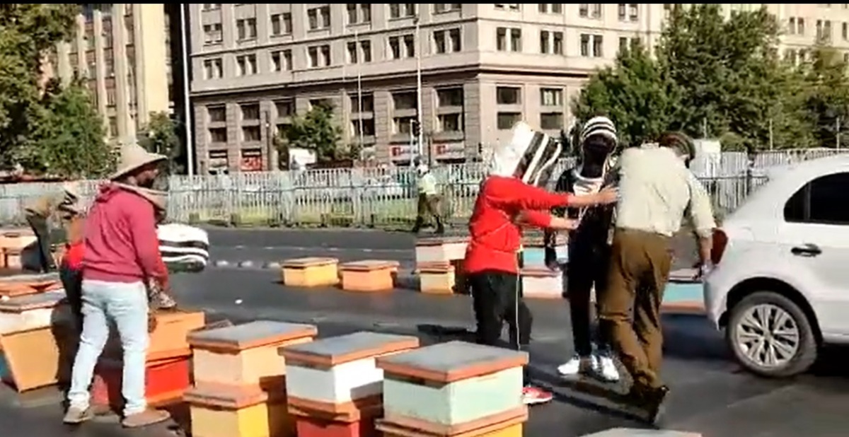 La protesta de apicultores con abejas ocurrió frente a La Moneda, en el gobierno de Chile. | Captura video Carabineros de Chile