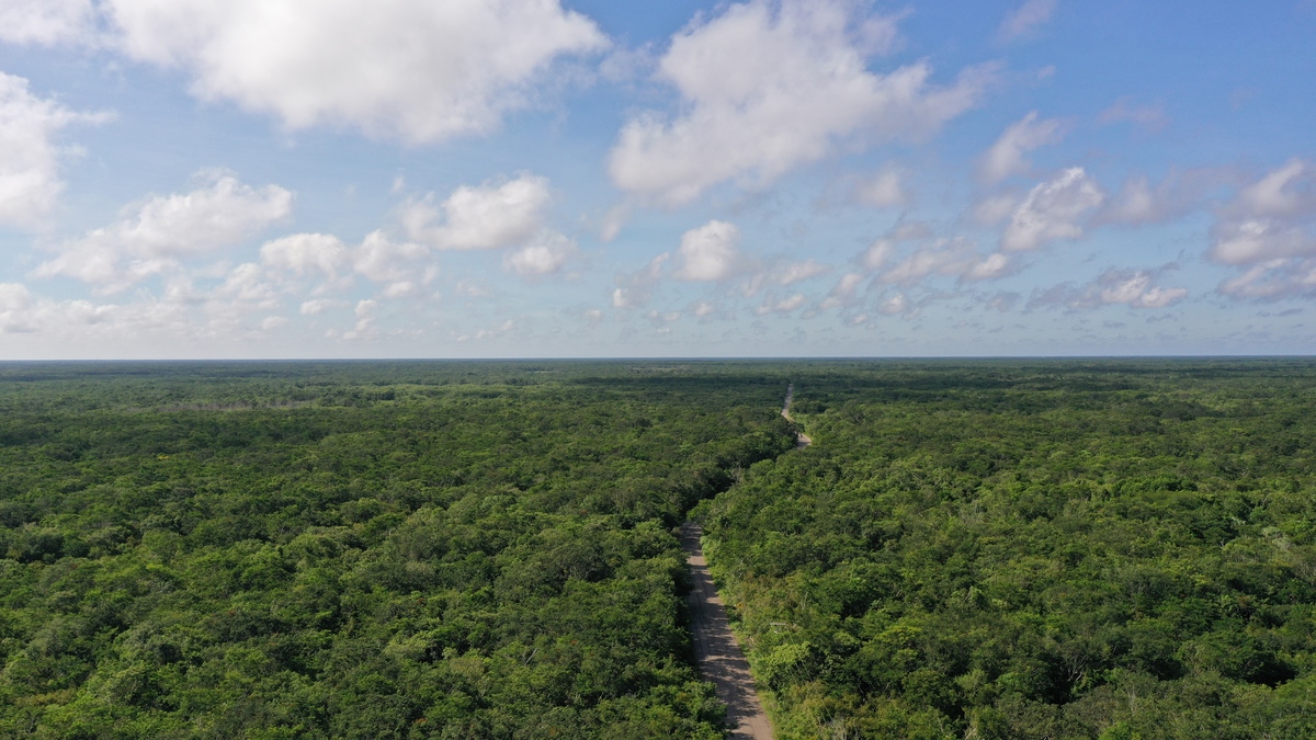 En Yucatan hay más de 3 mil cenotes en toda la región (Jesús Quintanar)