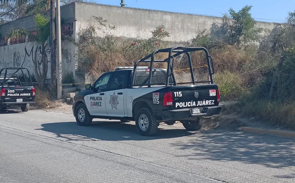 El cuidador de la quinta, relató a las autoridades que al llegar notó que el portón estaba forzado. Foto: Lourdes Soler