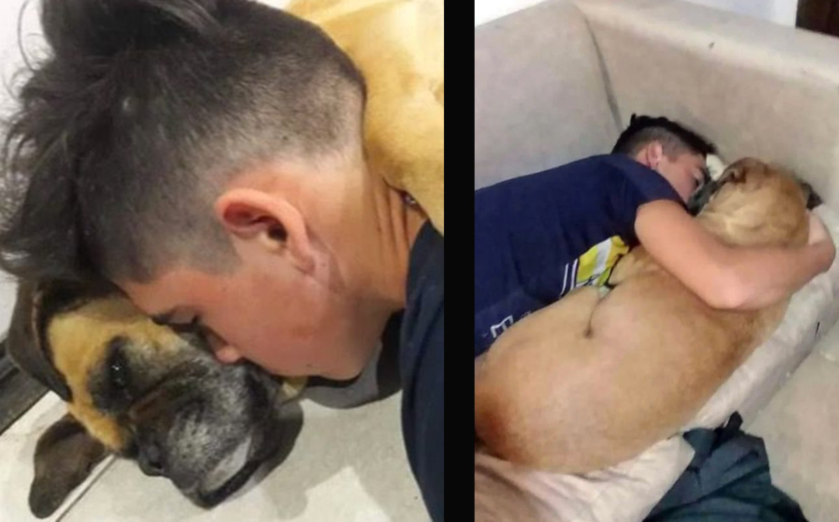 Muere perrita en brazos de su dueño por culpa de los fuegos artificiales. |Especial