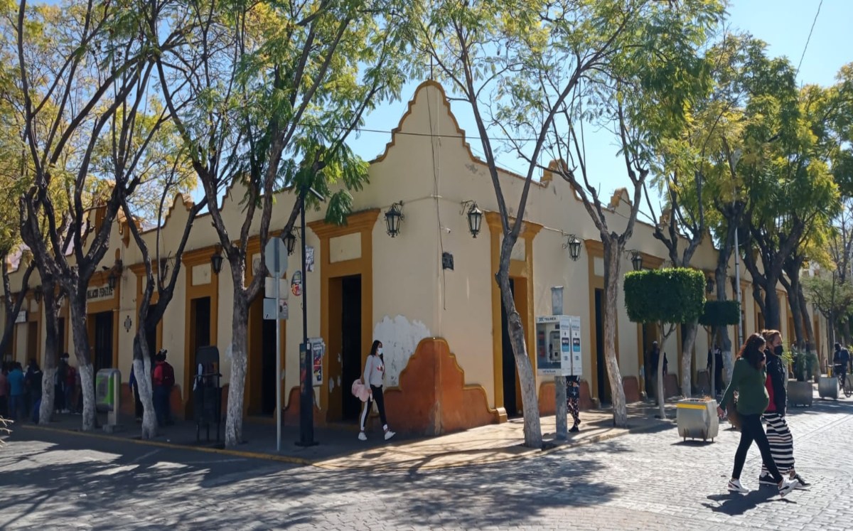 Oficina del Servicio Postal Mexicano en Tehuacán | Apolonia Amayo
