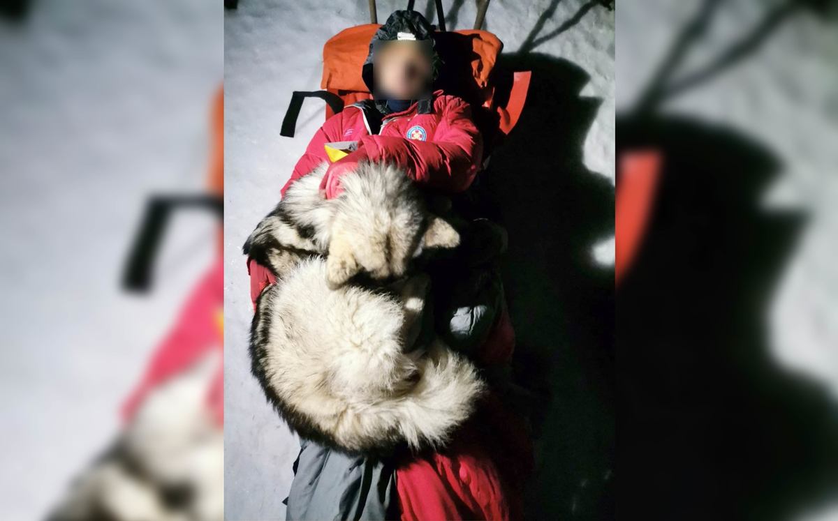 Un perro salva a un excursionista en una montaña croata | AFP
