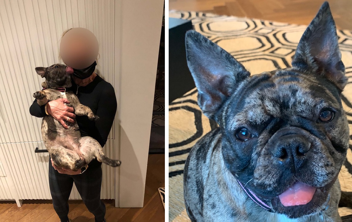 Rosie se reencontró con su dueño. | Foto: Policía de San Francisco.