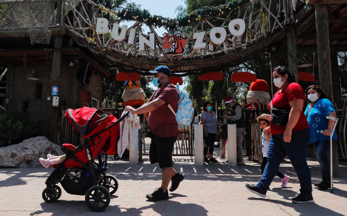 Vacunación contra covid-19  de animales en Buin Zoo De Santiago, Chile. (AFP)