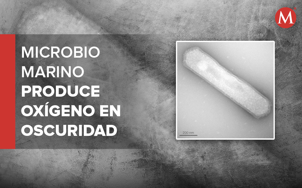 Un microbio es capaz de producir oxígeno en las profundidades | Especial