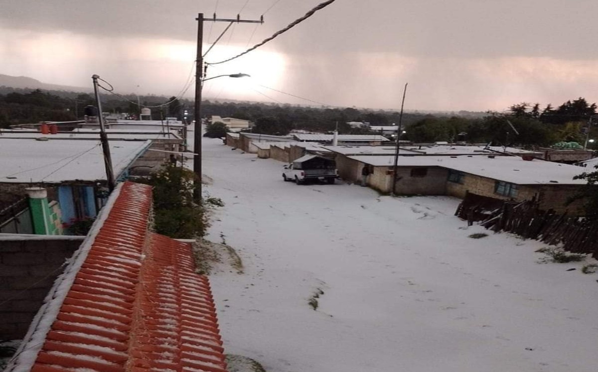 Cae nevada por primera vez en Tlachichuca Puebla | Especial