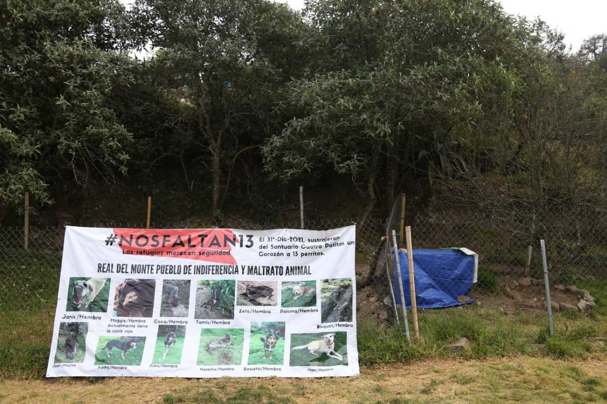 Exigen justicia por desaparición de 13 perros de santuario canino en Real del Monte