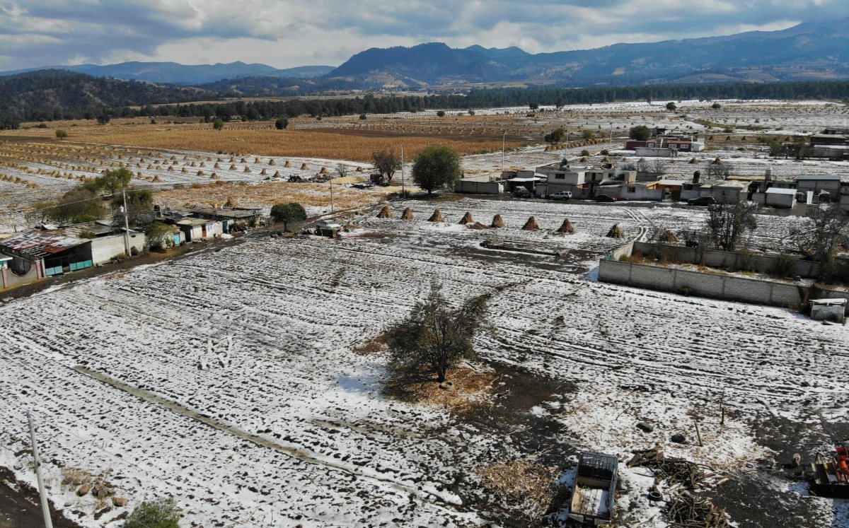 Nevada en Tlachichuca deja 250 hectáreas de cultivo afectadas | Especial